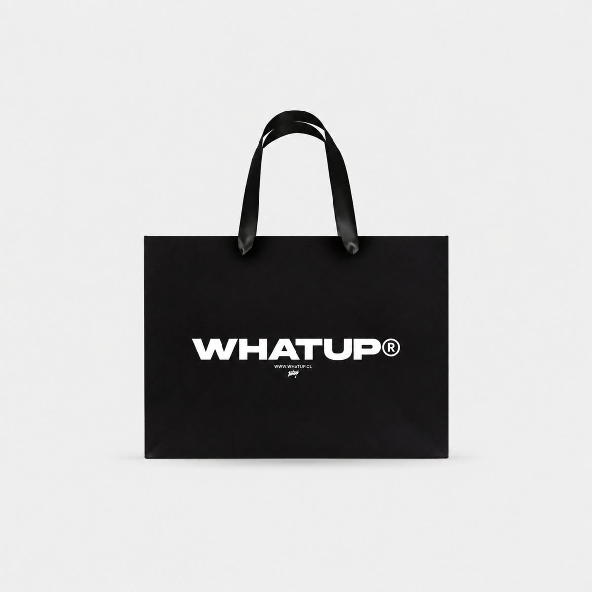BOLSA DE PAPEL WHATUP 20x30x10