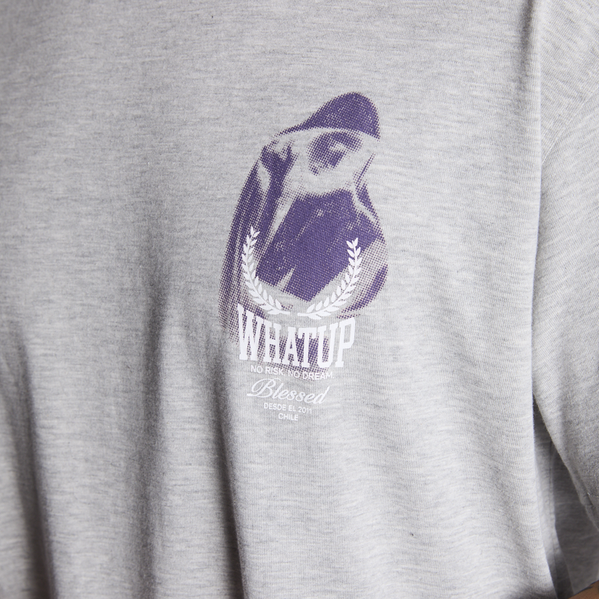 Polera Whatup Men Holy Marie Grey