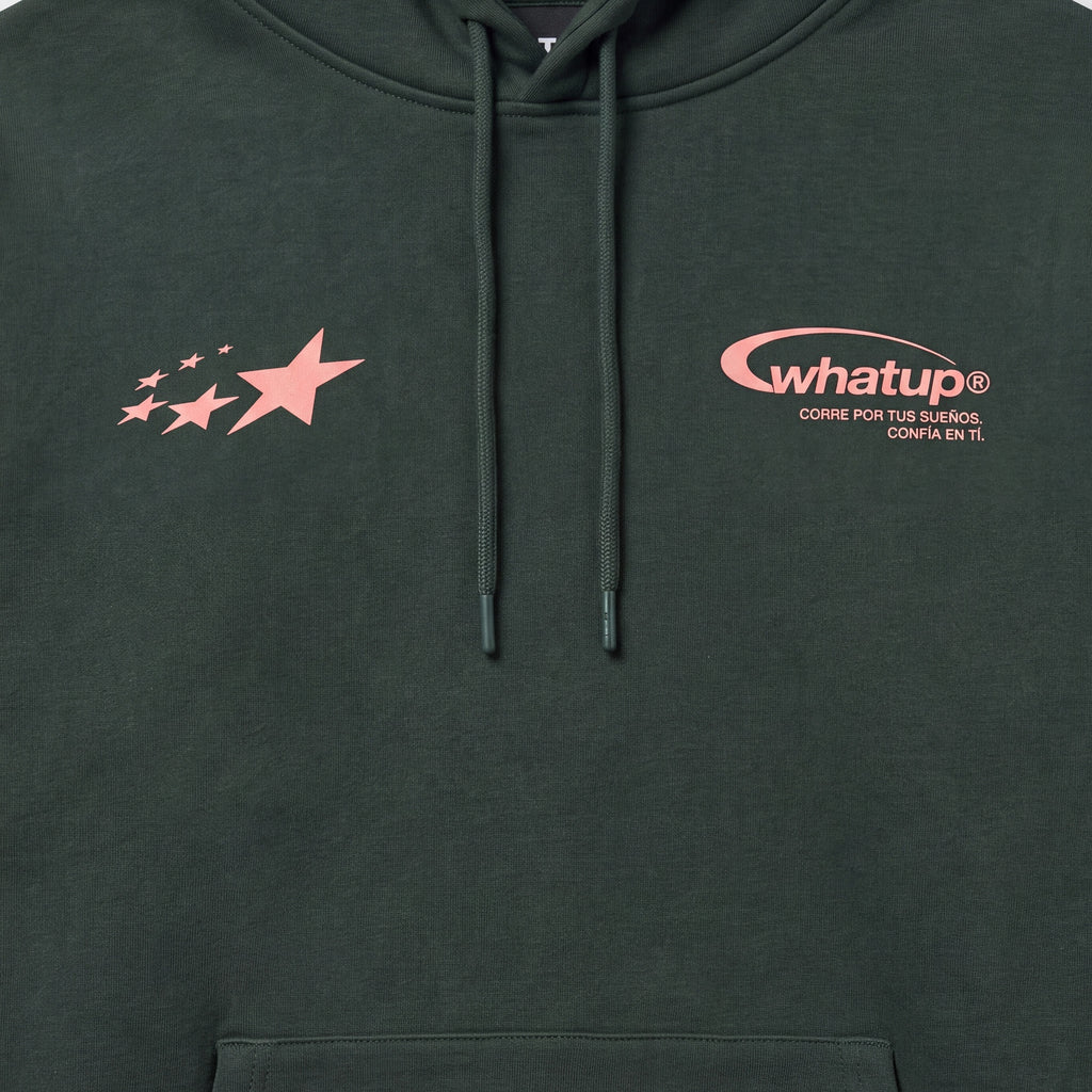 Polerón WhatUp Hoodie True Society Green Pink