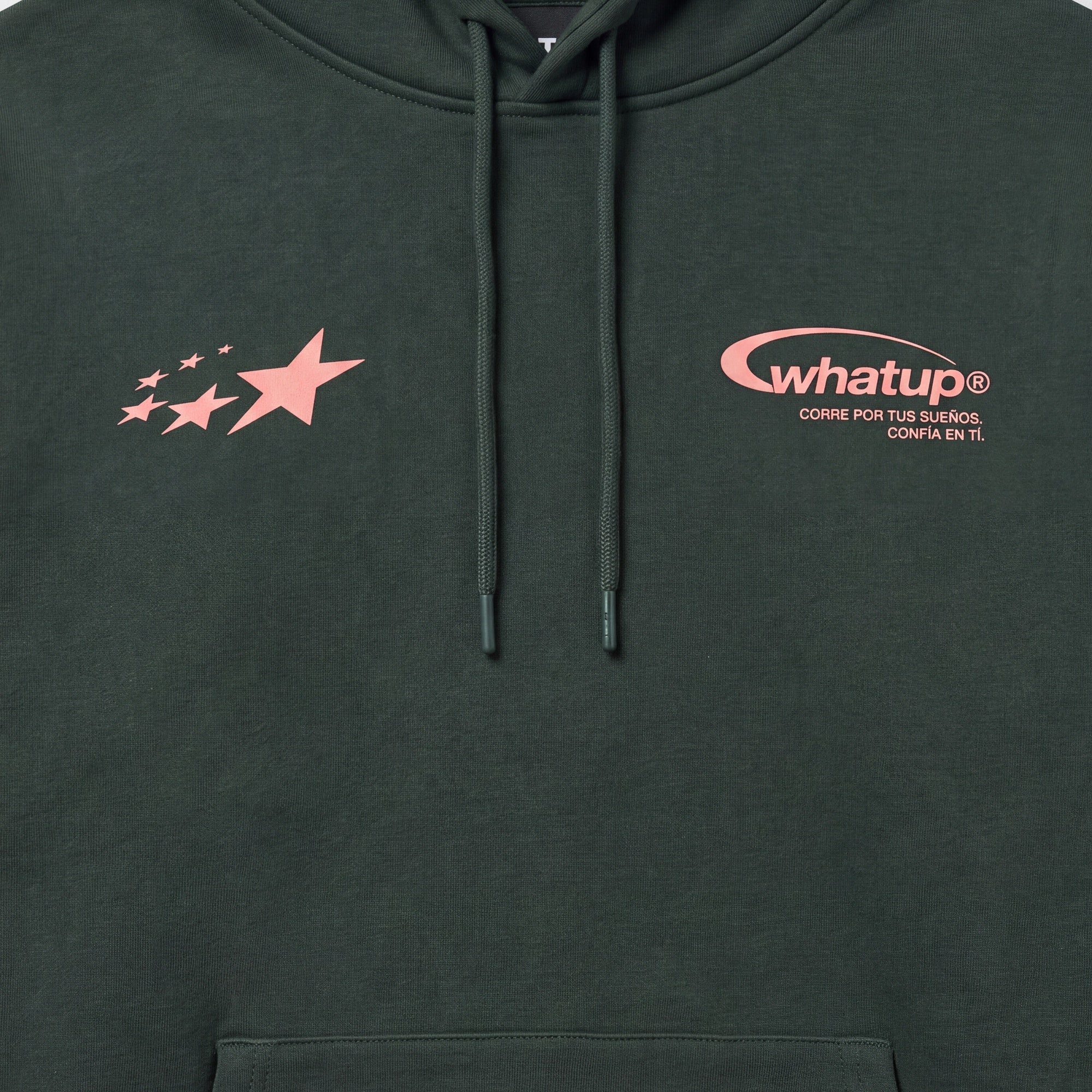 Polerón WhatUp Hoodie True Society Green Pink