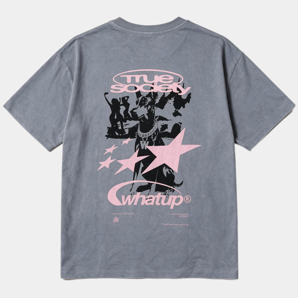 Polera Oversize Box True Society Gris